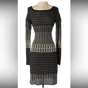 Max Studio Black and Tan Long Sleeve Dress